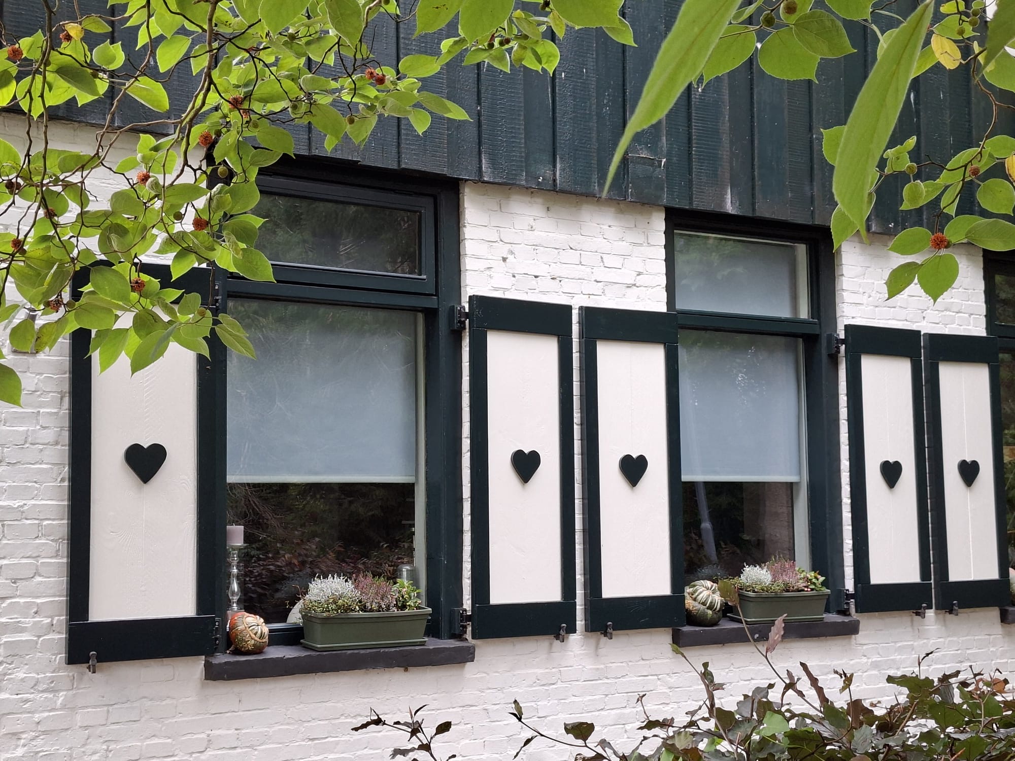 25eea8b7 f391 46c2 a53f 1474bb7b35c4